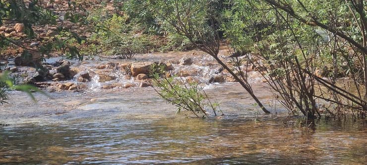 הנחל חזר לחיים