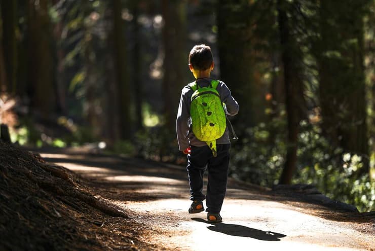 טיול משפחתי בקליפורניה