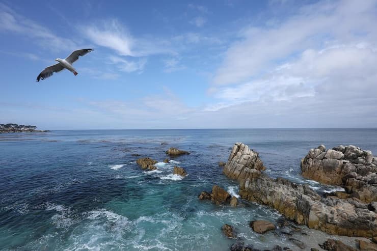 טיול משפחתי בקליפורניה