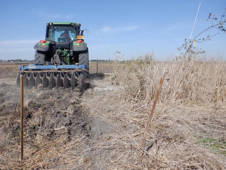 רצועת חיץ משוקמת לעומת רצועה מעובדת