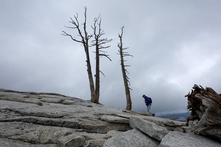 טיול משפחתי בקליפורניה