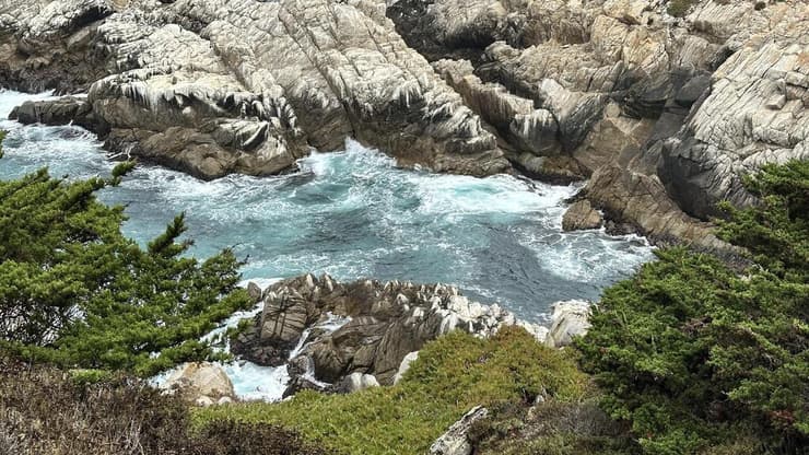 טיול משפחתי בקליפורניה