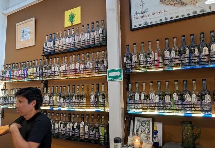 חגיגות "יום המתים" במקסיקו