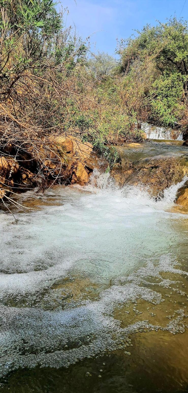 הזרימה המחודשת בנחל צלמון