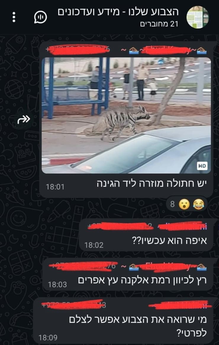 קצת הומור בקבוצה