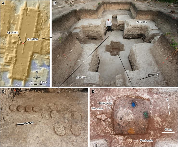 חפירות האתר דמוי הצלב בשם אגואדה פניקס