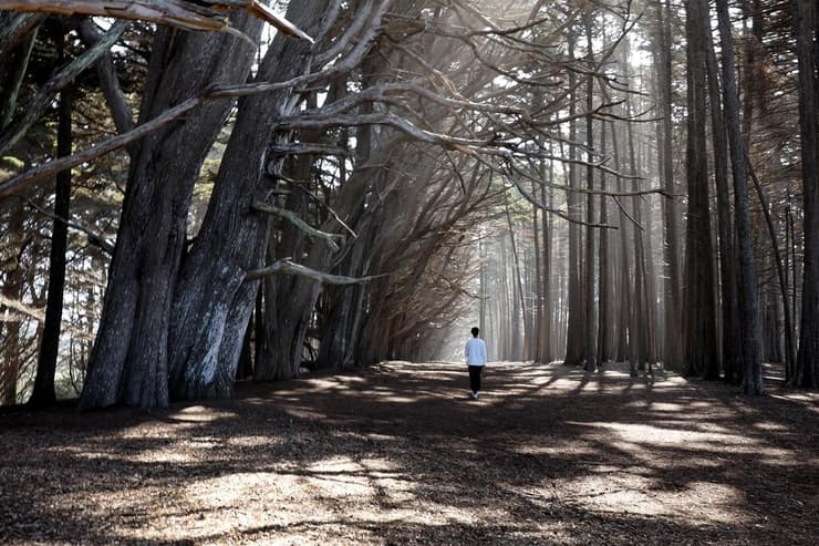 טיול משפחתי בקליפורניה