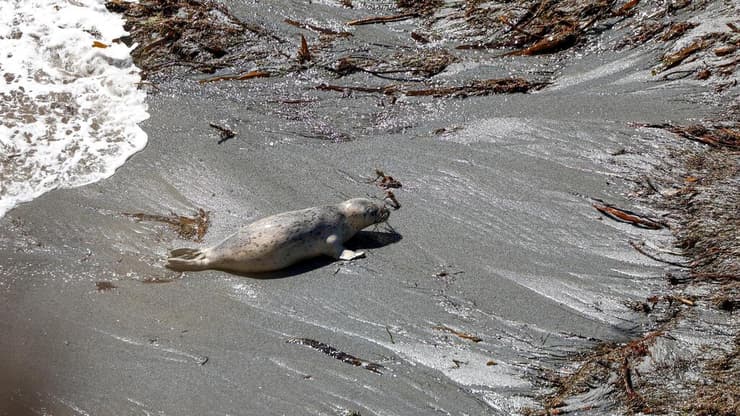 טיול משפחתי בקליפורניה
