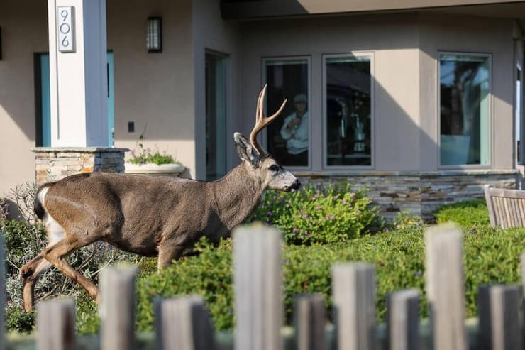 טיול משפחתי בקליפורניה