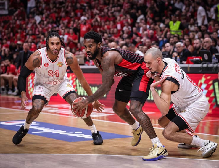 קרינגטון מול פלטין