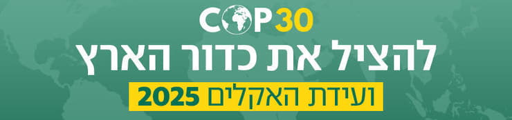 צילוםף shutterstock