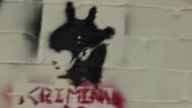 גרפיטי של נגה ארז עם הכיתוב "פושעת"