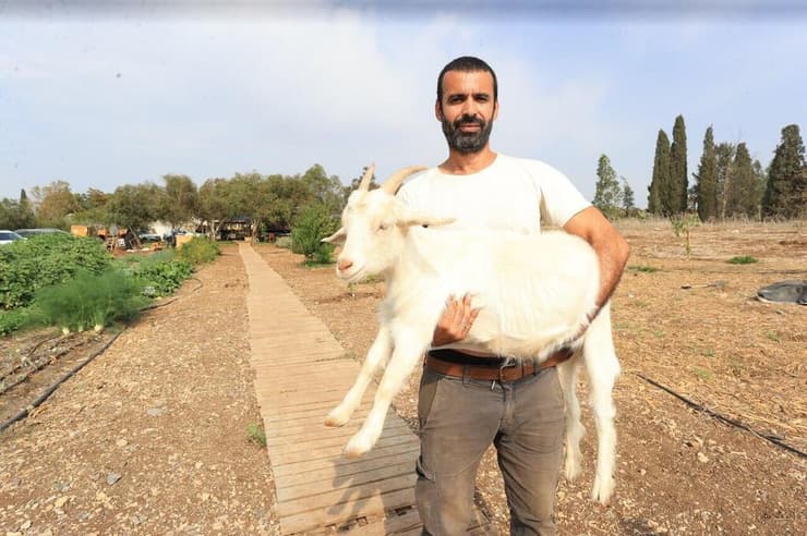 סנדי בן זקן