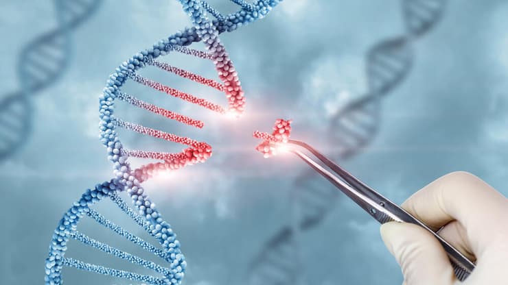 CRISPR היא טכנולוגיה לעריכה גנטית שמאפשרת לשנות גנים בצורה מדויקת ולבדוק איך זה משפיע על הגוף (צילום: Shutterstock) crispr, dna