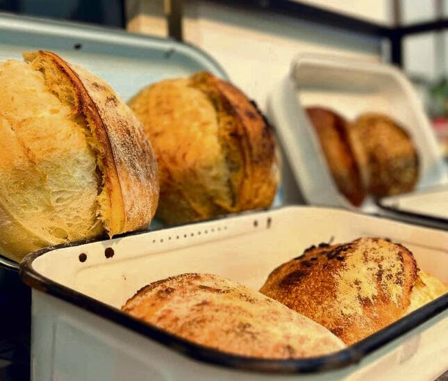 משפחה של אופים. פת-שטיינבך (צילום: מתוך אינסטגרם) yk14561235