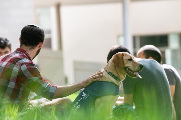 אחד מגורי נחייה בקמפוס של אוניברסיטת בן-גוריון