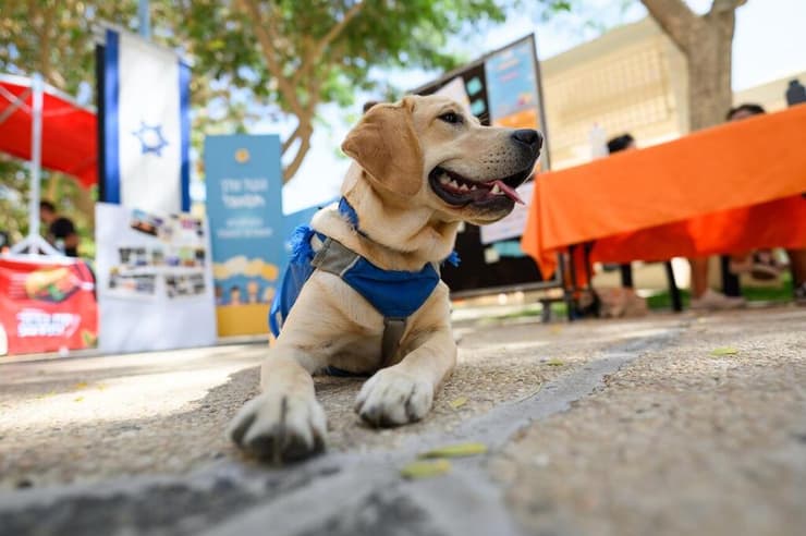 אחד מגורי נחייה בקמפוס של אוניברסיטת בן-גוריון
