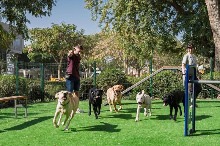 כלבי נחייה בגינה שנחנכה באוניברסיטת בן-גוריון