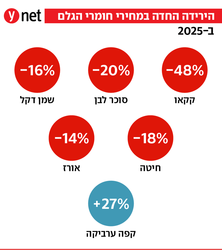 הירידה החדה במחירי חומרי הגלם בשנת 2025