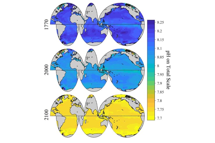 היכולת של הפיטופלנקטון לקבע פחמן עלולה להיפגע ככל שריכוז הפחמן הדו-חמצני באוקיינוסים עולה. חומציות האוקיינוסים ב-1770, ב-2000 ותחזית לשנת 2100 