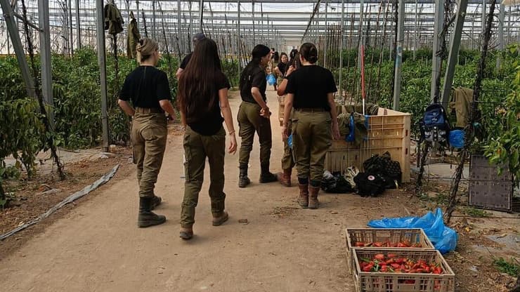 "סיפורי החקלאים הזכירו לנו שוב את צדקת הדרך" (צילום: באדיבות "חיבורים בחקלאות") "סיפורי החקלאים הזכירו לנו שוב את צדקת הדרך"