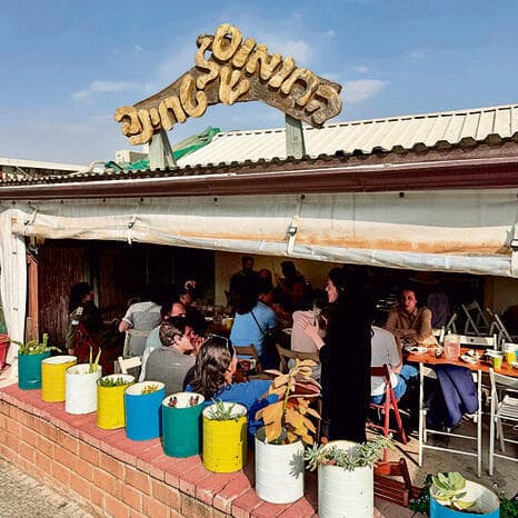 בין תקומה לחוצפה. החומוס של טחינה (צילום: רותי רוסו) yk14577095