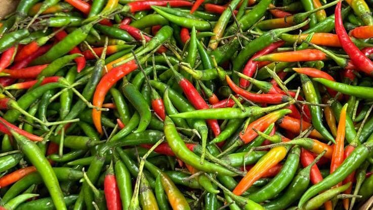 השוק האסיאתי בתחנה המרכזית