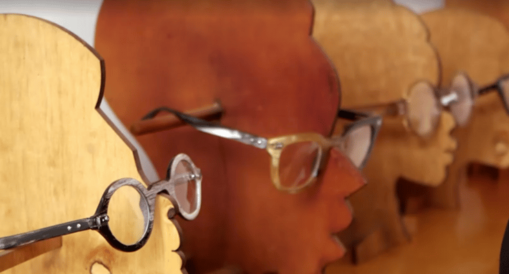 המשקפיים מקרני הפרות