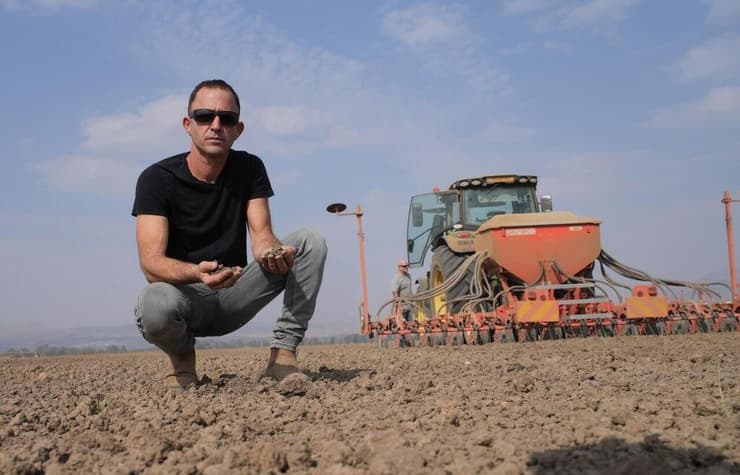 אלון שושני בשדה החיטה (צילום: אפי שריר) אלון שושני בשדה החיטה