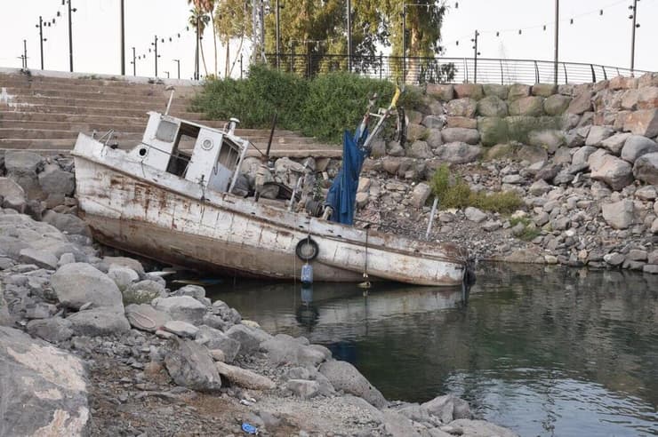 המצב העגום של הכינרת (צילום: אביהו שפירא) המצב העגום של הכינרת