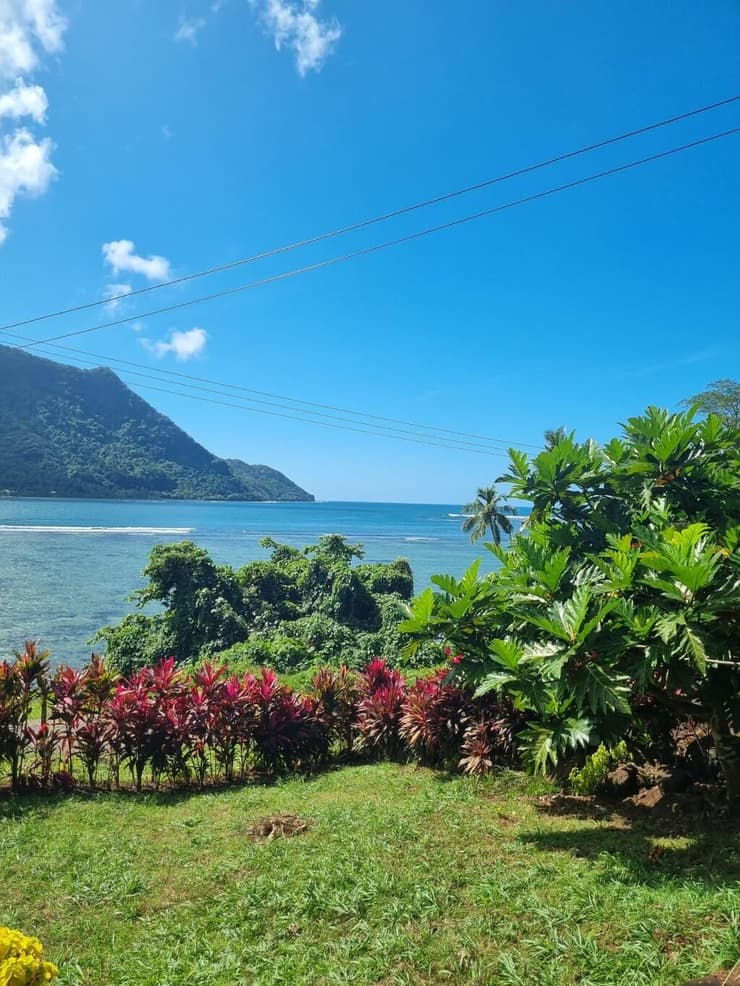 ירוק וכחול באופולו