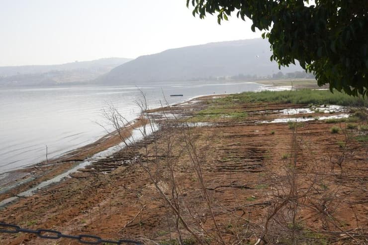 המפלס ירד השנה באופן חד (צילום: אביהו שפירא) המפלס ירד השנה באופן חד