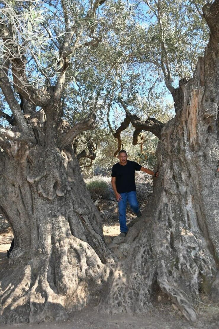 ד"ר עדי נעלי (צילום: יוסי סובה ) ד"ר עדי נעלי