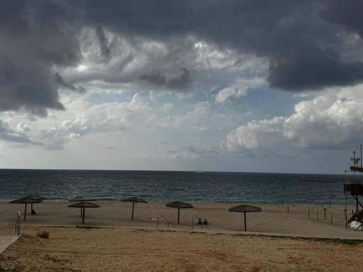 צילום: שלומית שביט, רשות הטבע והגנים נד מים, שתועד בחוף פלמחים