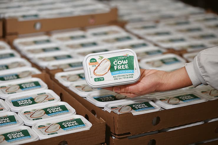 גבינת סימפוניה CowFree של שטראוס