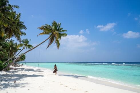 צילום: באדיבות רועי נתן