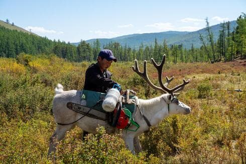 צילום: רועי נתן