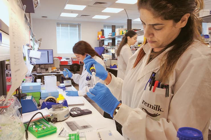 המעבדה ברימילק