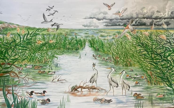 הנוף שהיה לפני כ-15 אלף שנה באזור