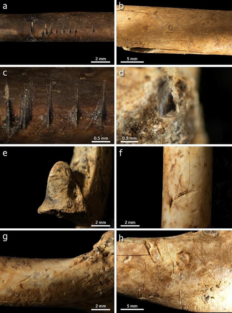 ממצאים שגילו החוקרים במערה