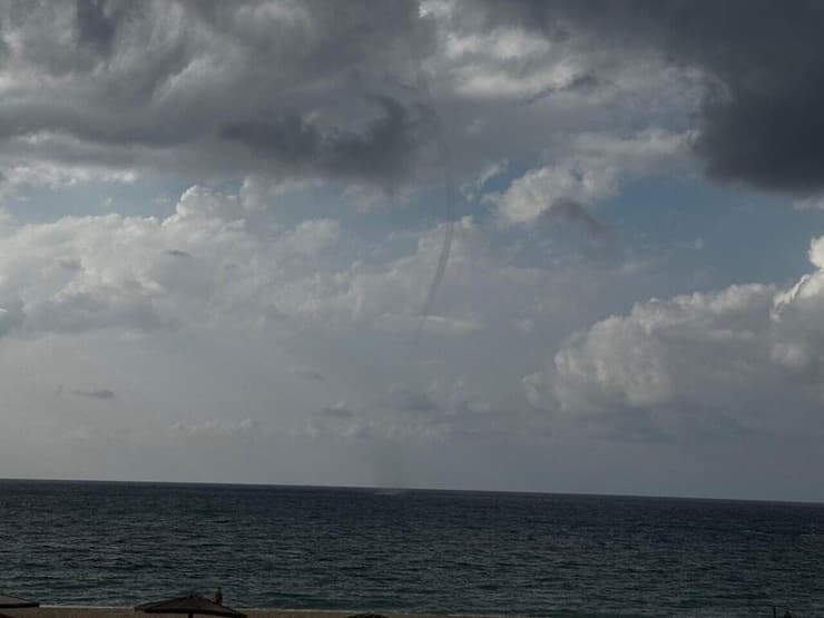 נד מים, שתועד בחוף פלמחים (צילום: שלומית שביט, רשות הטבע והגנים) נד מים, שתועד בחוף פלמחים