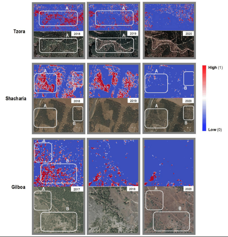 תוצאות הסריקה