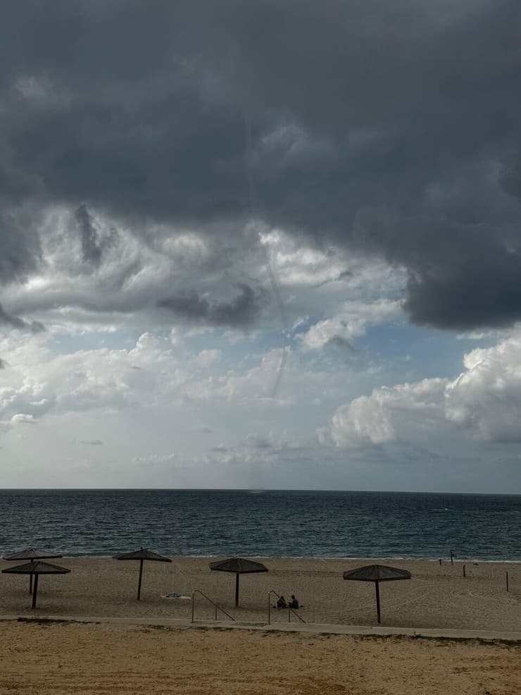 צילום: שלומית שביט, רשות הטבע והגנים נד מים, שתועד בחוף פלמחים