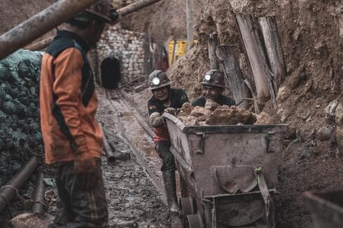 צילום: רועי נתן