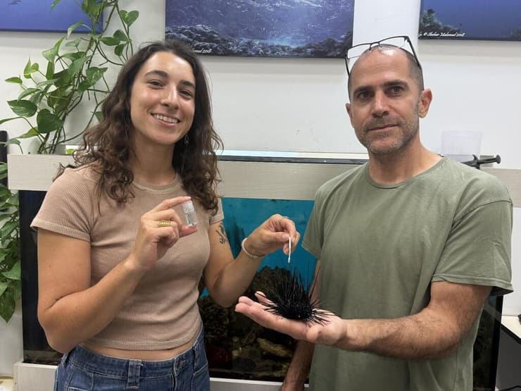 ד"ר עמרי ברונשטיין ותלמידי המחקר מאי בונומו  יחד עם קיפוד ים