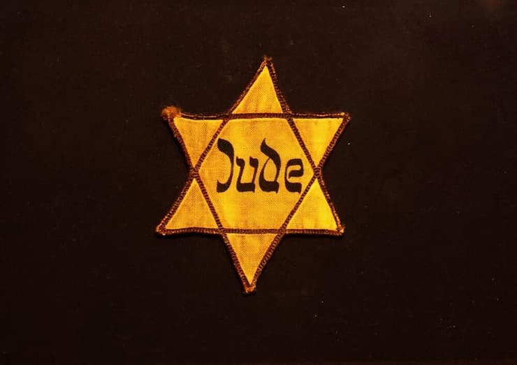 טלאי צהוב (צילום: meunierd, shutterstock) טלאי צהוב