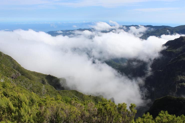 אחד המקומות היפים בעולם. נוף טיפוסי באי מדיירה (צילום: שמואל מוניץ) נוף טיפוסי באי מדיירה מוזיאון רונאלדו