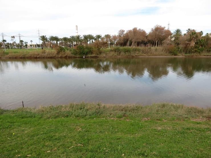 הירקון (צילום: דב גרינבלט, החברה להגנת הטבע) הירקון