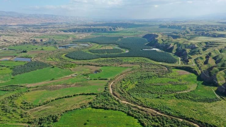 אזור נהר הירדן (צילום: עמיר בלבן, החברה להגנת הטבע) אזור נהר הירדן