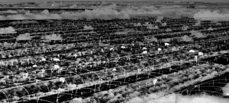 הנזק זגרמו חזירי בר